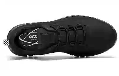 Ecco Flex Series Black
