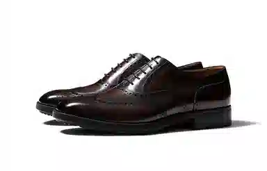 TRUFFAUT Brogue Dress Shoes