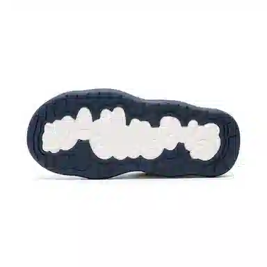 Champion CloudNine V1