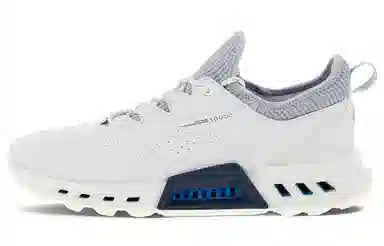 Ecco Biom C4 Blue Grey