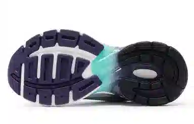 Champion Retro Sports