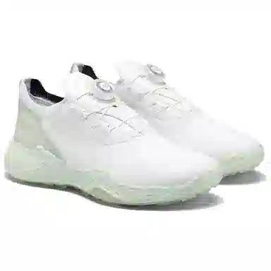 ecco GOLF BIOM H5