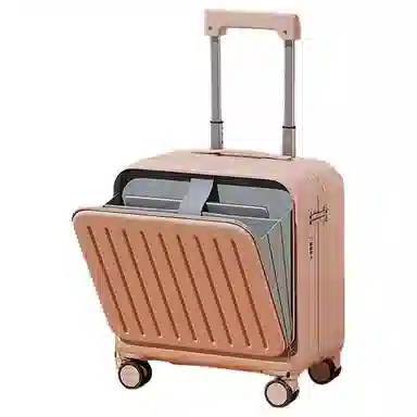 SEA LION ABS+PC 2018