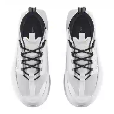 Canada Goose Glacier Trail