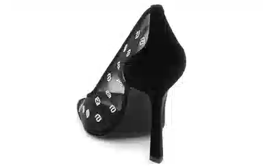 alexander wang Delphine