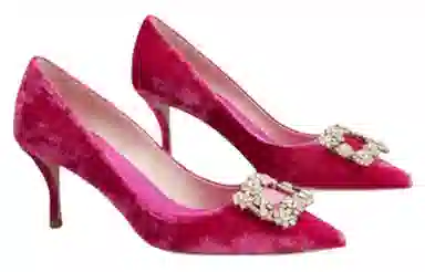 Roger Vivier Flower Strass 6.5cm