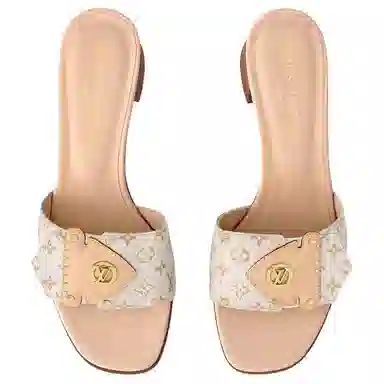 LOUIS VUITTON Frame 5cm