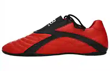 Balenciaga Zen