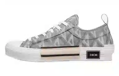 Dior B23 Low Grey