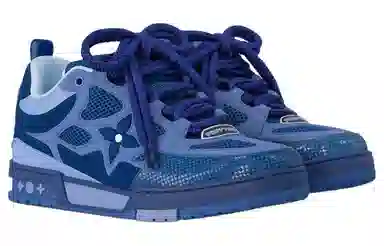 Louis Vuitton Skate Low Blue