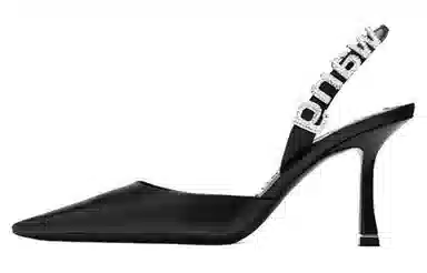 Alexander Wang Grace