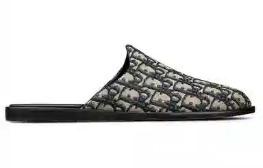 Dior Indior Slides