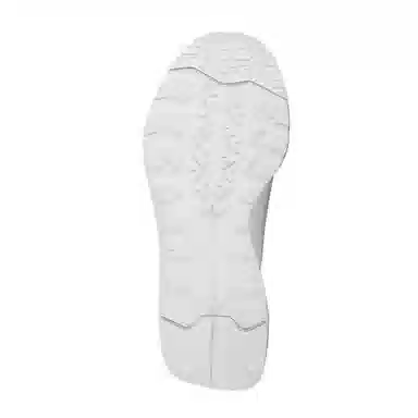 Canada Goose Glacier Trail