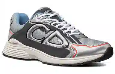 Dior B30 Grey Silver