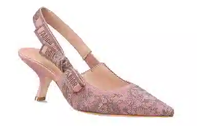 Dior J'Adior Embroidered Pumps 6.5cm Pink