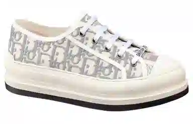 Dior Walk'n'Dior Oblique