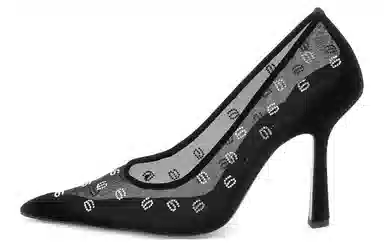 alexander wang Delphine