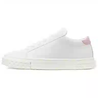 giuseppe zanottiGZ Ecoblabber