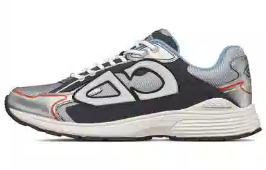 Dior B30 Grey Silver