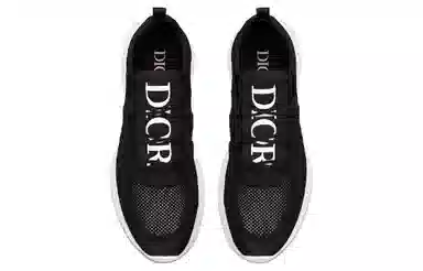 DIOR B25