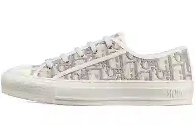 Dior Walk'n'Dior Grey