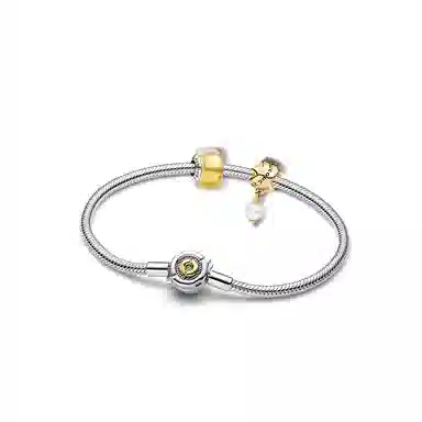 Pandora Snake Chain Bracelet