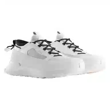 Canada Goose Glacier Trail