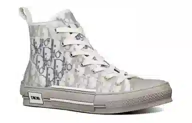 Dior B23 High-Top