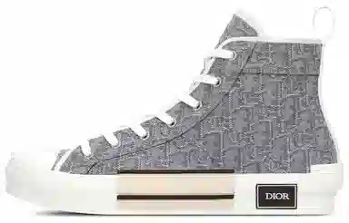 Dior B23 Grey