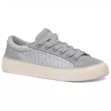 Dior Oblique B33 Grey