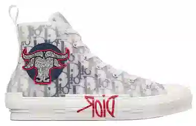 Dior B23 White Black