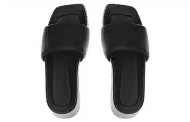 alexander wang 6.5cm