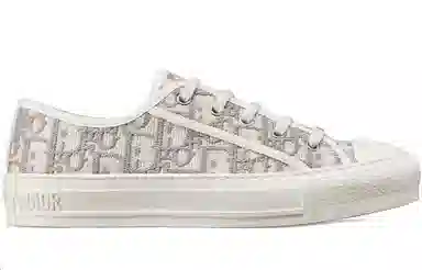 Dior Walk'n'Dior Grey