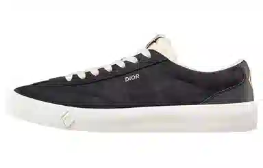 DIOR B101