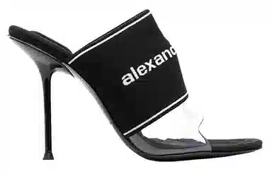 alexander wang Sienna