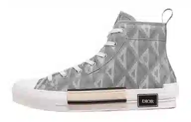 Dior B23 High-Top Sneakers Grey