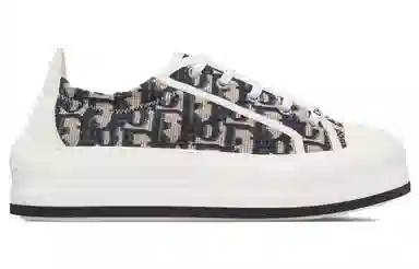 DIOR Walk'n'Dior Oblique