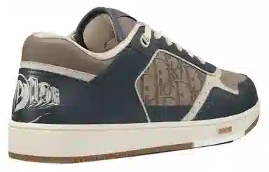 Dior B27 Low Grey Brown