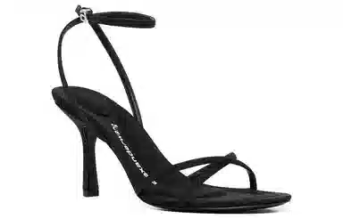 alexander wang Dahlia