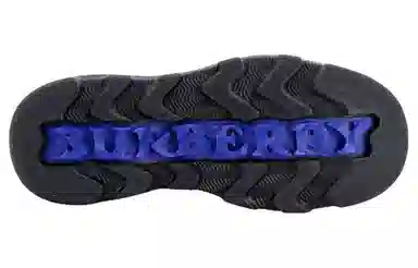 Burberry Chelsea Boots