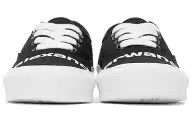 alexander wang Dropout
