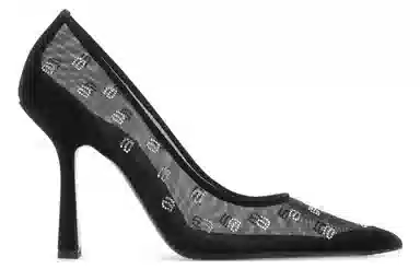 alexander wang Delphine