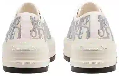 Dior Walk'n'Dior Oblique