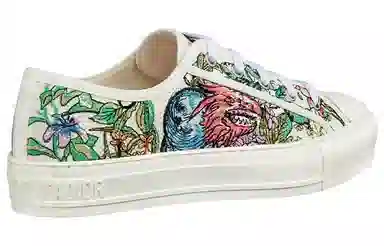 DIOR Walk'n'Dior D-Constellation