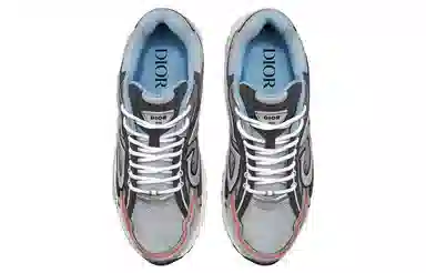 Dior B30 Grey Silver