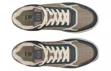 Dior B27 Low Grey Brown