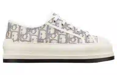 Dior Walk'n'Dior Oblique