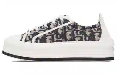 DIOR Walk'n'Dior Oblique