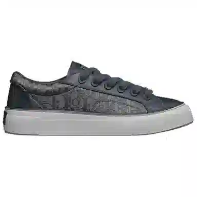 DIOR B33 Spin Embossed Low Sneakers Gray Limited Edition