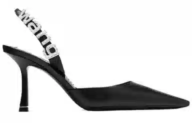 Alexander Wang Grace